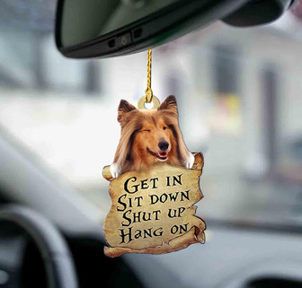 Sheltie get in sheltie lovers two sided ornament - Thegiftio UK
