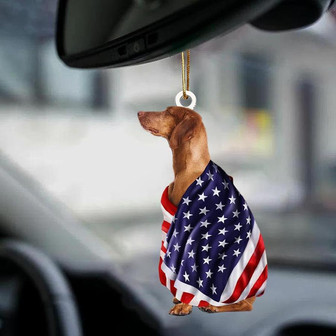 Viszla American Patriot Flag Two Sided Ornament - Thegiftio UK