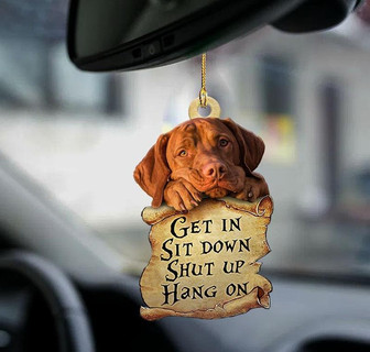 Vizsla get in dog moms two sided ornament - Thegiftio UK