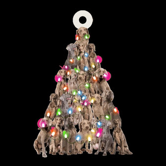 Weimaraner lovely tree gift for Weimaraner lover gift for dog lover ornament - Thegiftio UK