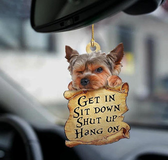Yorkshire terrier get in yorkie lover two sided ornament - Thegiftio UK
