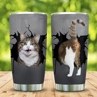 Funny Cat Break Stainless Steel Tumbler 20Oz - Thegiftio