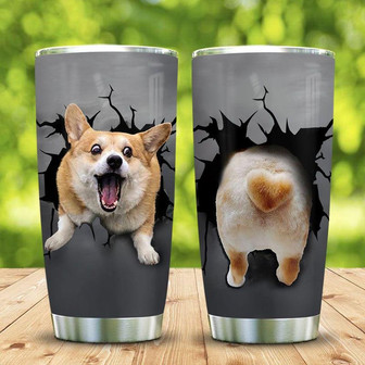Corgi Break Butt Stainless Steel Tumbler 20Oz - Thegiftio UK