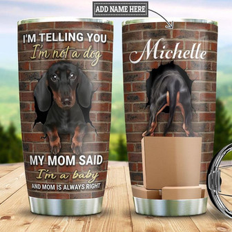 Dachshund Personalized Stainless Steel Tumbler 20Oz - Thegiftio
