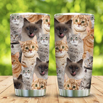 Picture Cats Stainless Steel Tumbler 20Oz - Thegiftio UK
