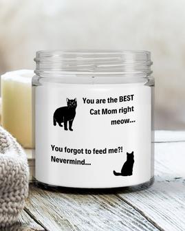 Funny cat candle gift for cat mom funny cat lover gift - Thegiftio UK