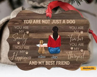 Personalized Custom Dog Mom Christmas Aluminum Ornament, Memorial Gift Idea For Dog Lovers, Dog Owner, You Are Not Just A Dog - Thegiftio