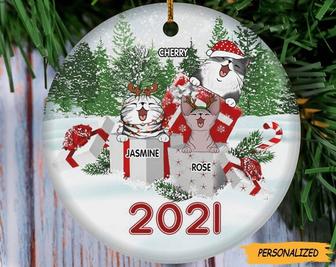 Merry Christmas 2021 Personalized Cat Lovers Decorative Christmas Ornament, Cat Lovers Gift, Cat Owner Gift, Custom Cat Ornament - Thegiftio