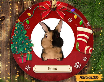 Personalized Christmas Rabbits Bunny Lovers Circle Ornament, Gift for Bunny Lovers, Rabbits Owner Gift, Pet Lover Gift, Custom Rabbits Gift - Thegiftio
