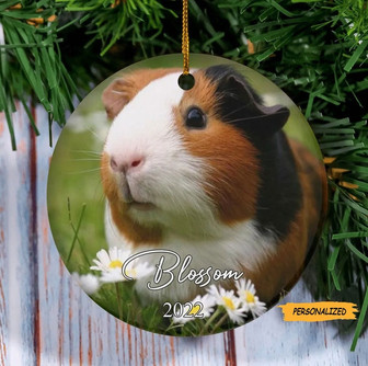 Personalized Custom Guinea Pig Christmas Ornament, Memorial Guinea Pig Gift for Her, Guinea Pig Lover, Guinea Pig Mom, Gift for Daughter - Thegiftio UK