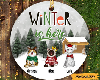 Winter Is Here Circle Ceramic Ornament, Personalized Cat Lovers Decorative Christmas Gift, Cat Owner Gift, Custom Cat Gifts, Cat Owner Gifts - Thegiftio