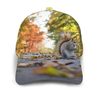 Cute Squirrel Print Casual Baseball Cap Adjustable Twill Sports Dad Hats for Unisex Hat - Thegiftio UK