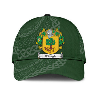 Oboyle Coat Of Arms Irish Family Crest St Patrick's Day Hat Classic Cap Hat - Thegiftio UK