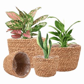Natural Seagrass Planter Basket Outdoor Set of 4 Round Hyacinth Basket Flower Room Decoration Gift For Him | Rusticozy