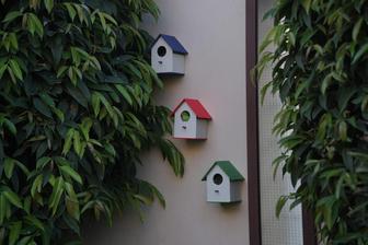 Pvc Bird House ( Pack Of 5 ) - Monsterry CA