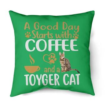 a good day with a Toyger cat | Mazezy