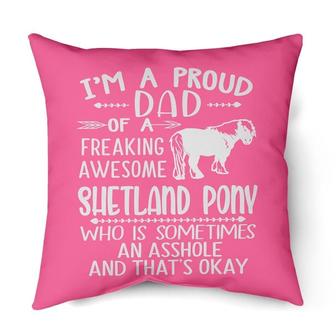 A Proud Dad Of A Shetland pony | Mazezy