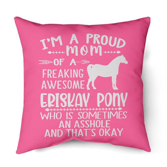 A Proud Mom Of A Eriskay Pony | Mazezy