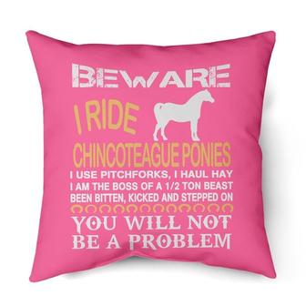 Beware I ride Chincoteagues | Mazezy