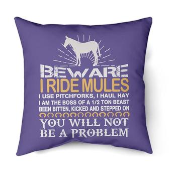 Beware I ride mules | Mazezy