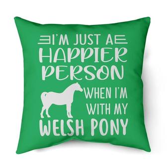 Happier person Welsh pony | Mazezy