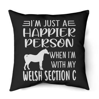 Happier person Welsh Section C | Mazezy