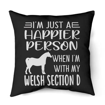 Happier person Welsh Section D | Mazezy