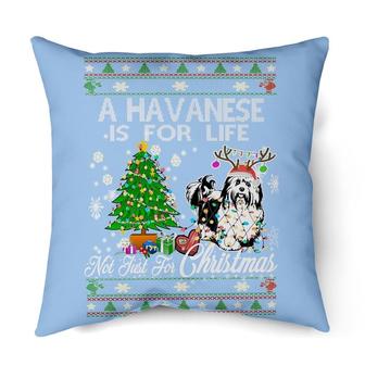 just a girl christmas Havanese | Mazezy