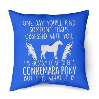 Probably Going To Be A Connemara Pony | Mazezy