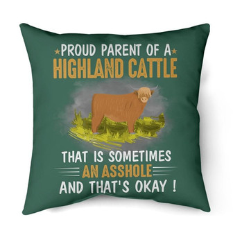 Proud parent of a Highland Cattle | Mazezy