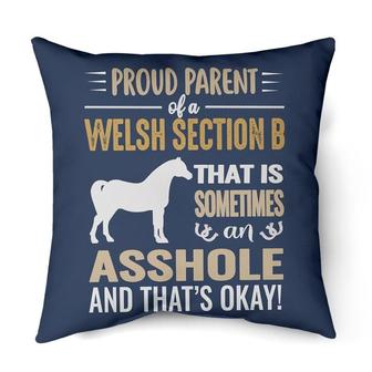 Proud parent of a Welsh Section B | Mazezy