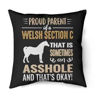 Proud parent of a Welsh Section C | Mazezy