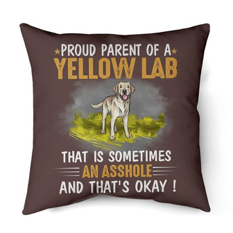 Proud parent of a Yellow Labrador | Mazezy