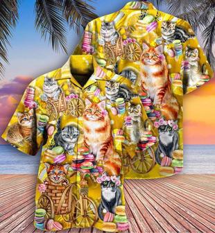 Cat Aloha Hawaiian Shirt For Summer, Life Is Better With Cats And Macaron Aloha Shirts, Cat Hawaiian Shirts For Men Women, Friend, Team, Cat Lovers - Seseable