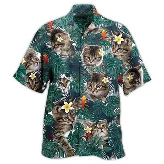 Cat Hawaiian Shirt For Summer, Cat Tropical Leaves Aloha Shirts - Best Colorful Cool Cat Hawaiian Shirts Outfit For Men Women, Friend, Team, Cat Lovers - Seseable