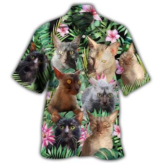 Lykoi Cat Hawaiian Shirt For Summer, Lykoi Cat Love Beautiful Flower, Best Colorful Cool Cat Hawaiian Shirts Outfit For Men Women, Friend, Team, Cat Lovers - Seseable