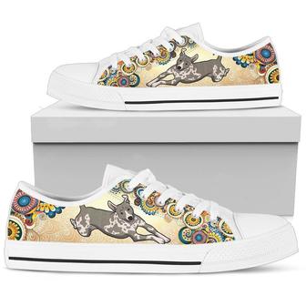 American Hairless Terriers Licence Plate Low Top Canvas Shoes - Monsterry