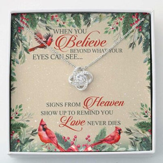 Cardinal Memories Necklace , When You Believe Beyond What Your Eyes - Thegiftio