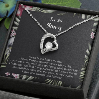 Girlfriend Necklace, Wife Necklace, Sorry Apology Gift, I Wish I Could Take It Back, Cz Heart Necklce - Thegiftio UK