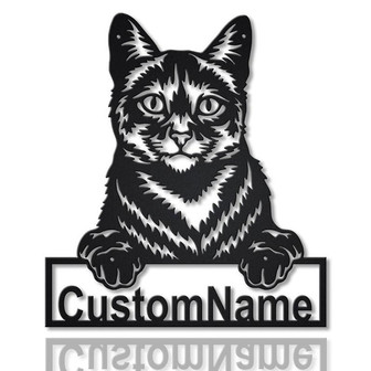 Personalized Domestic Cat Metal Sign Art | Custom Domestic Cat Metal Sign | Father's Day Gift | Pets Gift | Birthday Gift - Thegiftio UK