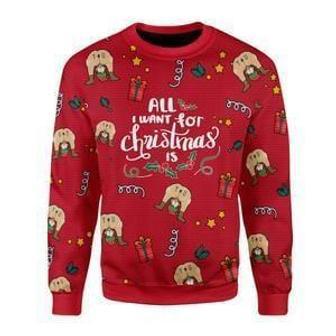 All I Want For Christmas Is You Ugly Christmas Sweater | Favorety CA