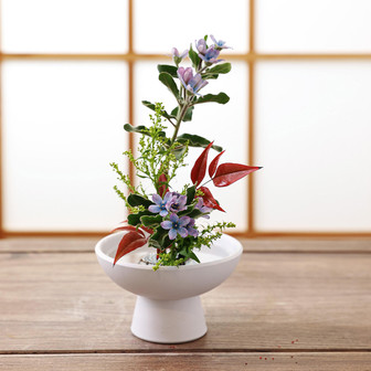Ceramic High Legged Floral Ware Succulent Small Flower Plate Living Room Decoration | Rusticozy