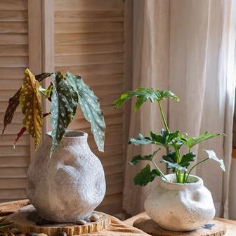 Handicraft Art Ornament Vase Home Living Room Decor Matte Cement Ceramic Flower Vases | Rusticozy