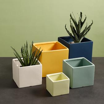 Modern Mini Square Ceramic Flower Pots Small Succulent Plants Pot | Rusticozy