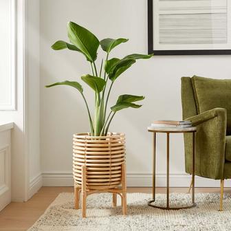 Elegant Design Decor Home Rattan Plant Pot Basket Planter Stand | Rusticozy