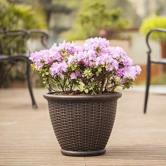 Garden Outdoor Hotels Round Tall Braided Urn Box Plastic Rattan Resin Wicker Look Planter Wicker Plant Pot For Flowers | Rusticozy DE