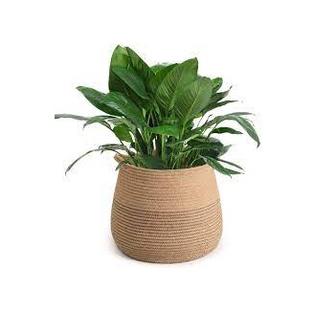 High Quality Jute Basket Modern Woven Basket For Flower Pot Floor Indoor Planters | Rusticozy AU
