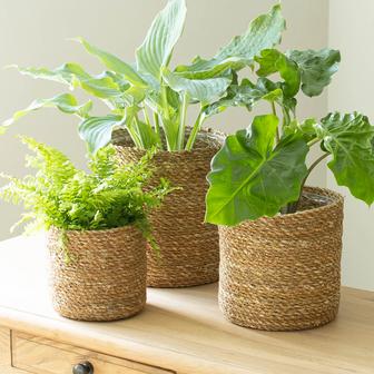 Natural Seagrass Woven Basket Handmade Indoor Plants Flower Pots And Planters | Rusticozy AU