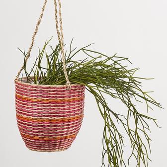 Colorful Seagrass Handwoven Wall Hanging Planters For Indoor Home Decor | Rusticozy UK
