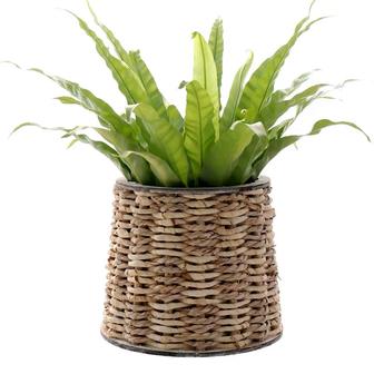 Wicker Weaving Grass Weaving Flower Pot Willow Basket Nordic Style | Rusticozy